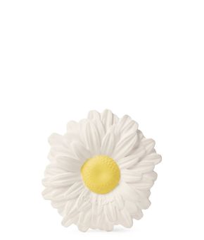 L-DAISY-WHITE-1